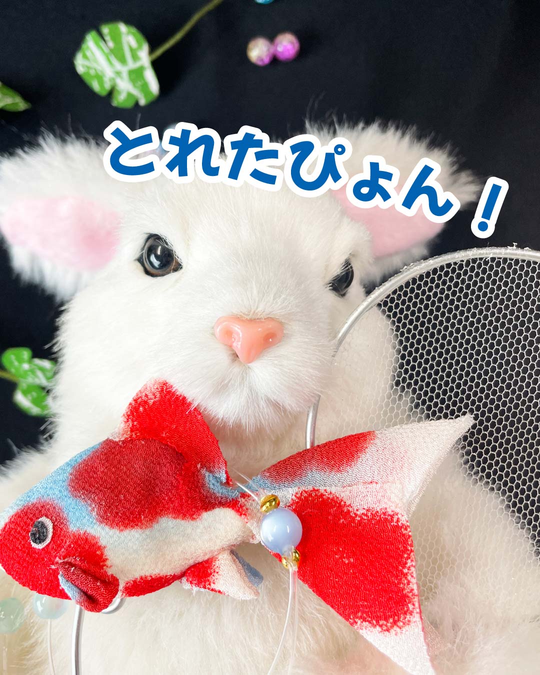 うさぴょんと金魚