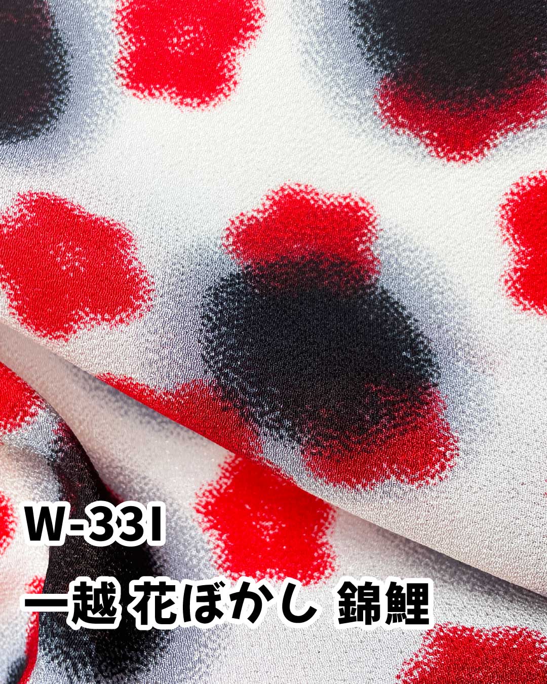 花ぼかし錦鯉