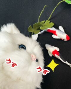ねこさまのお気に入り