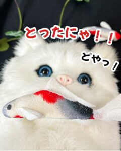 ねこさまと鯉