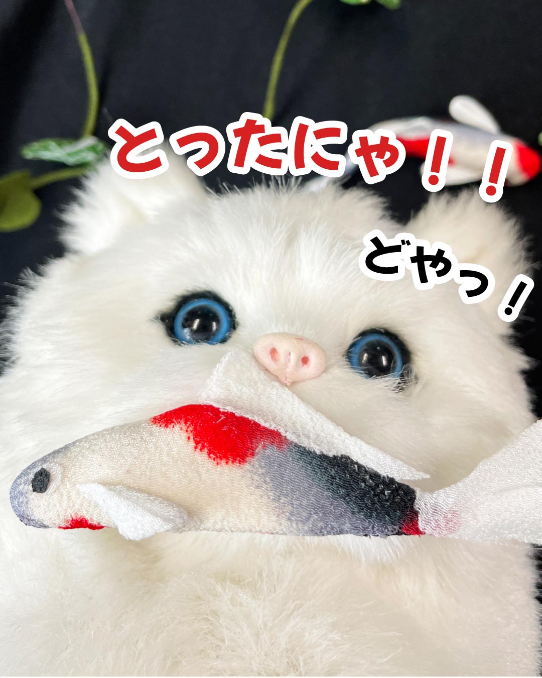 ねこさまと鯉