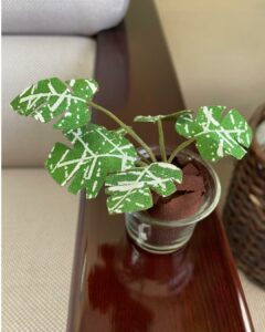 リアルなモンステラ
