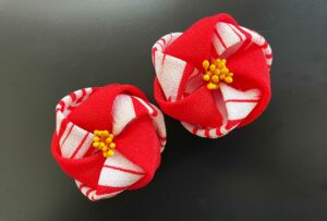 基本のねじりつまみ