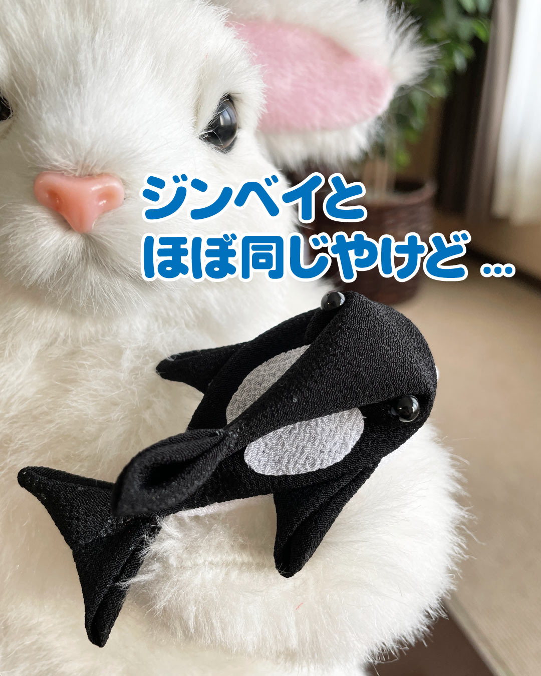 つまみ細工でシャチ