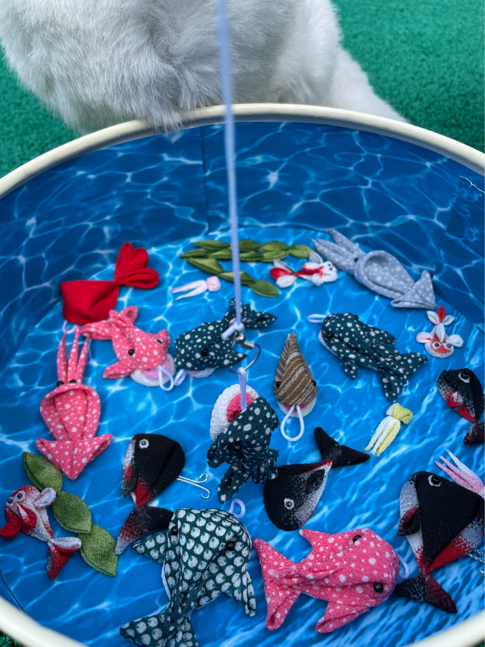 いろんな色の海の生き物